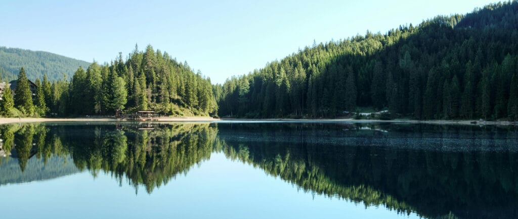 A scenic lake during the day surrounded by trees. 